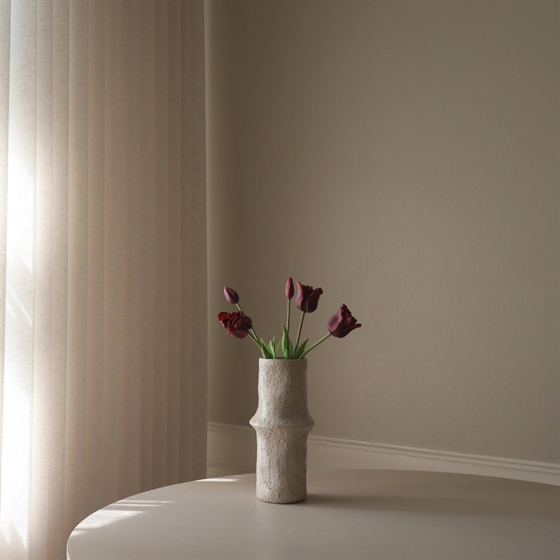 BOTANE PURPLE TRIUMPH TULIPS BUNDLE 5 STEMS