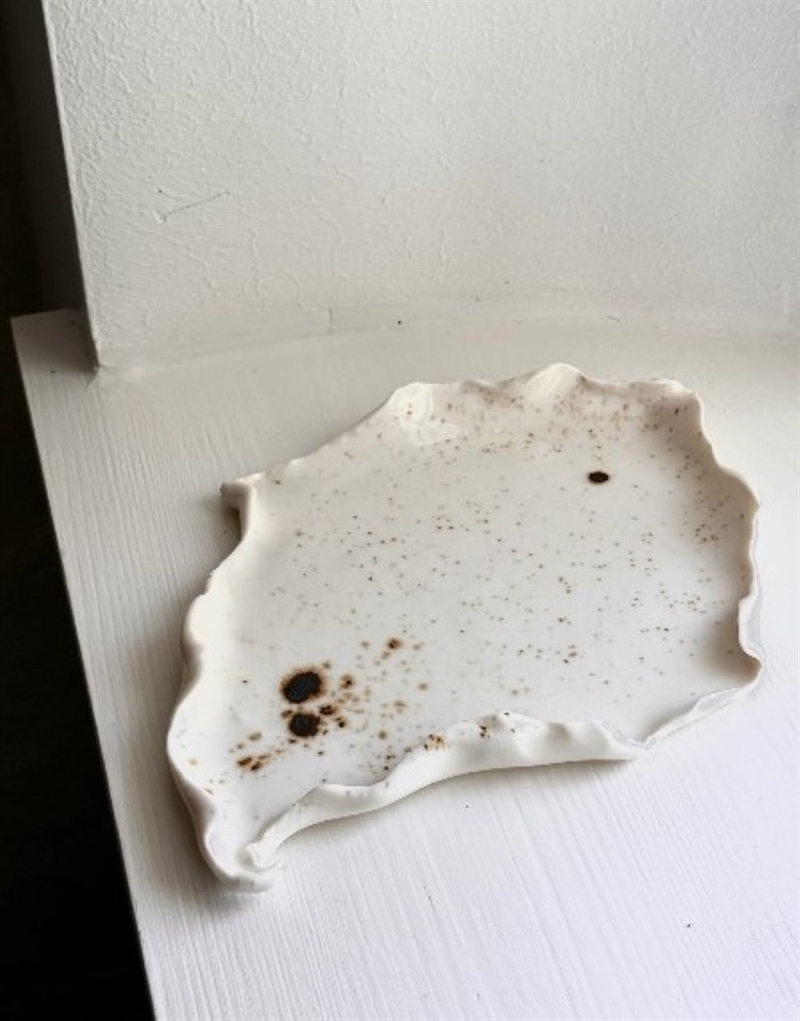 STUDIO AARHUS REDEN FAD